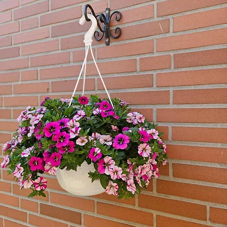 Hoelscher * أشيبيرغ