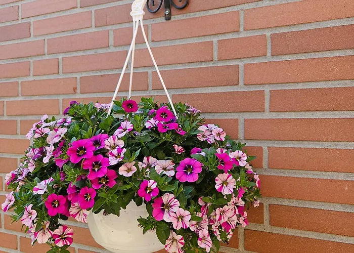 Hoelscher * Ascheberg (North Rhine-Westphalia)